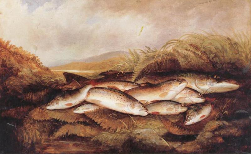 Henry Leonidas Rolfe The Day's Catch oil painting picture